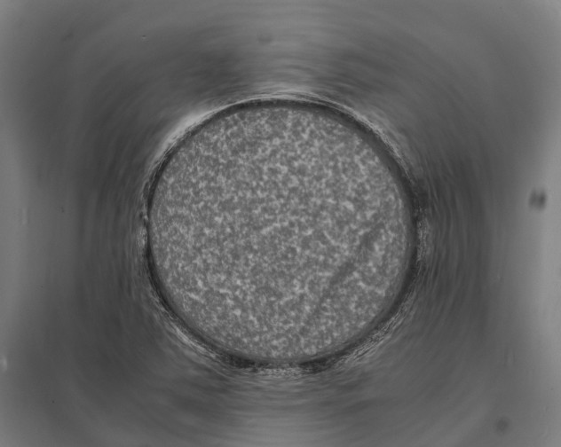 X0000097621363200803281027