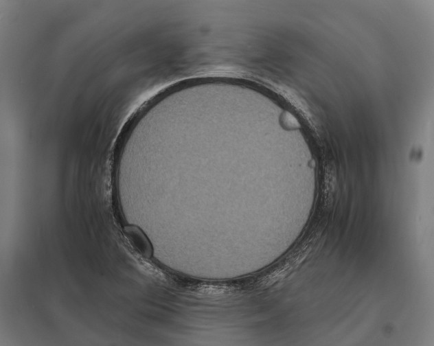 X0000097621364200803281027