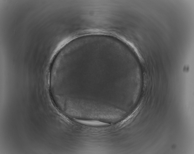 X0000097621365200803281027