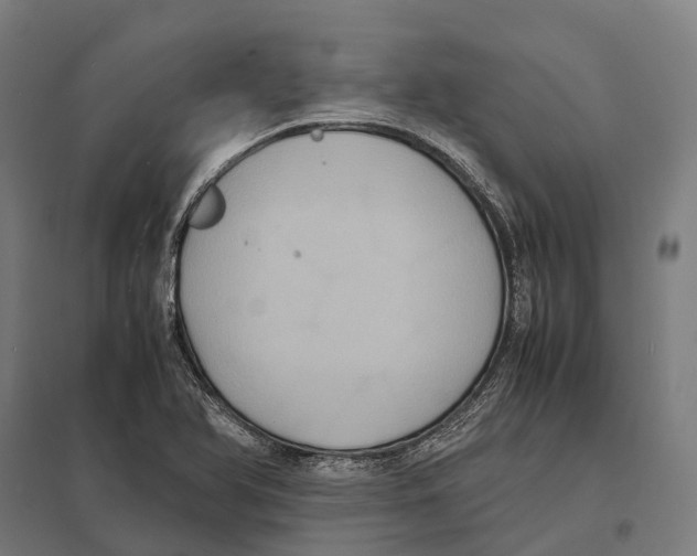 X0000097621366200803281027