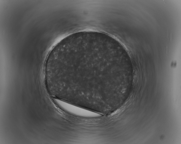 X0000097621367200803281027
