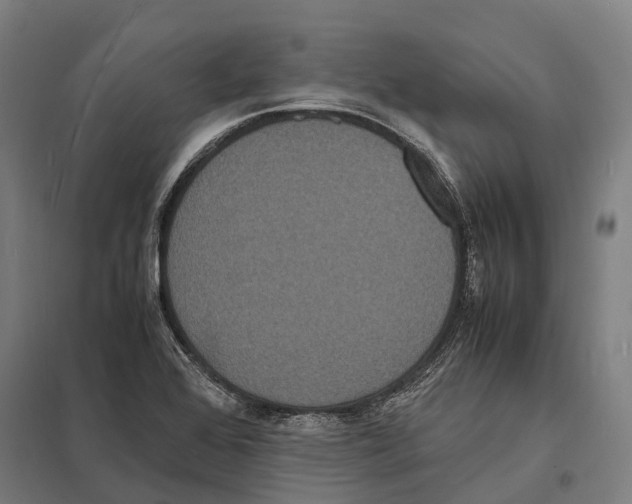 X0000097621368200803281027