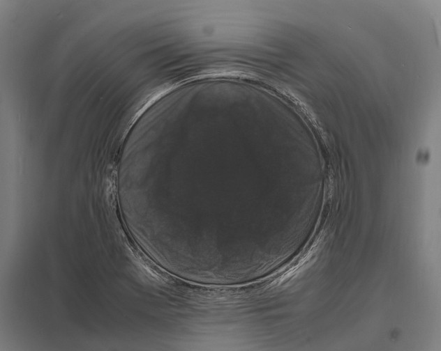 X0000097621369200803281027