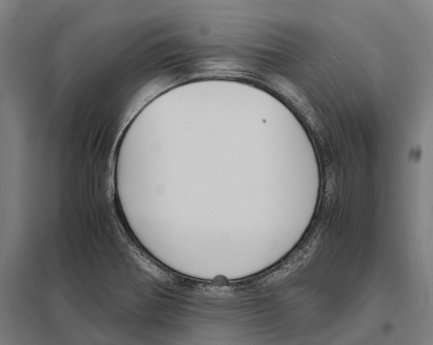 X0000097621370200803281027