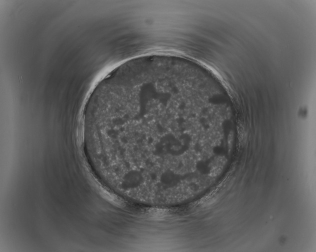 X0000097621371200803281027