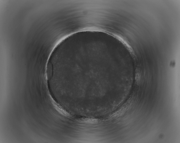 X0000097621372200803281027