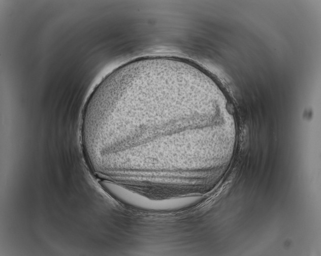 X0000097621374200803281027