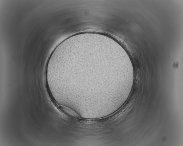X0000097621375200803281027