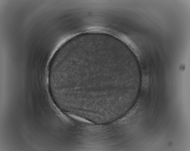 X0000097621376200803281027