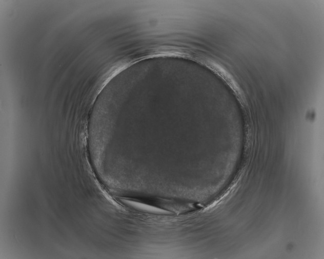 X0000097621377200803281027