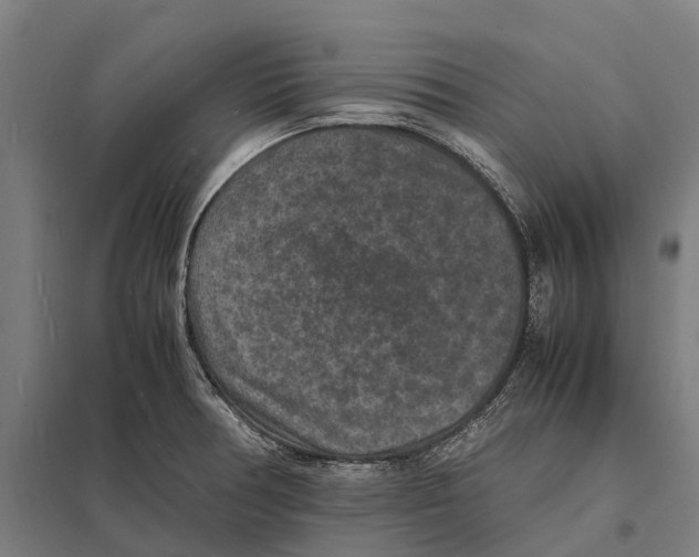 X0000097621378200803281027