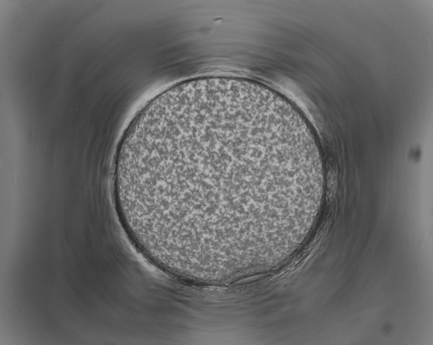 X0000097621379200803281027