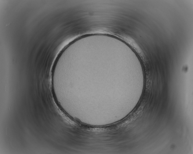 X0000097621380200803281027
