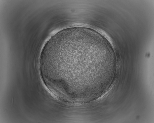 X0000097621381200803281027