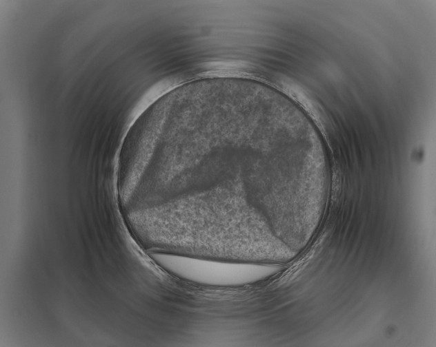 X0000097621386200803281027