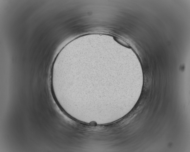 X0000097621387200803281027