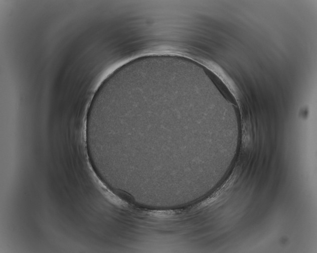 X0000097621388200803281027