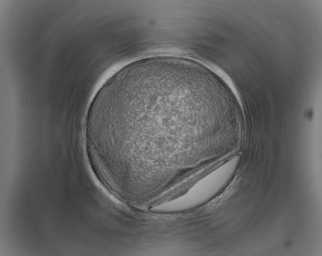 X0000097621389200803281027