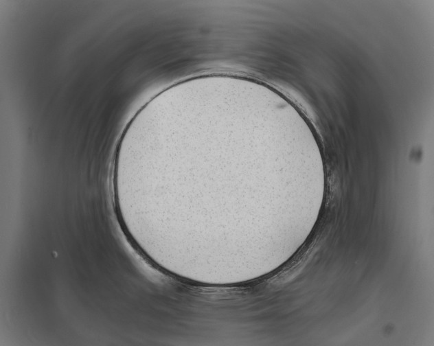 X0000097621391200803281027