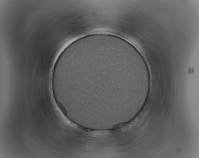 X0000097621392200803281026
