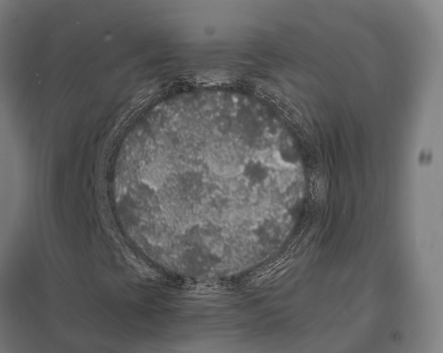 X0000097621393200803281026