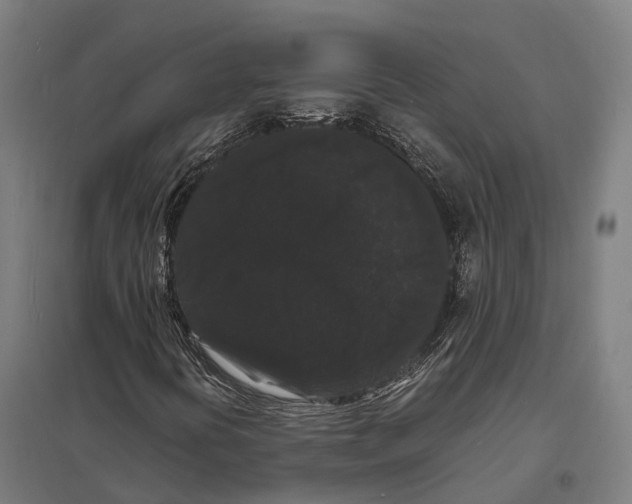 X0000097621394200803281026
