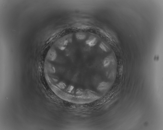 X0000097621397200803281026