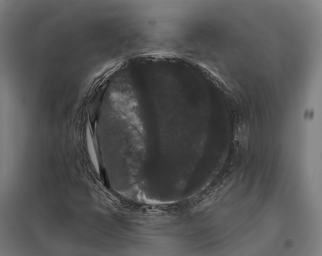X0000097621398200803281026