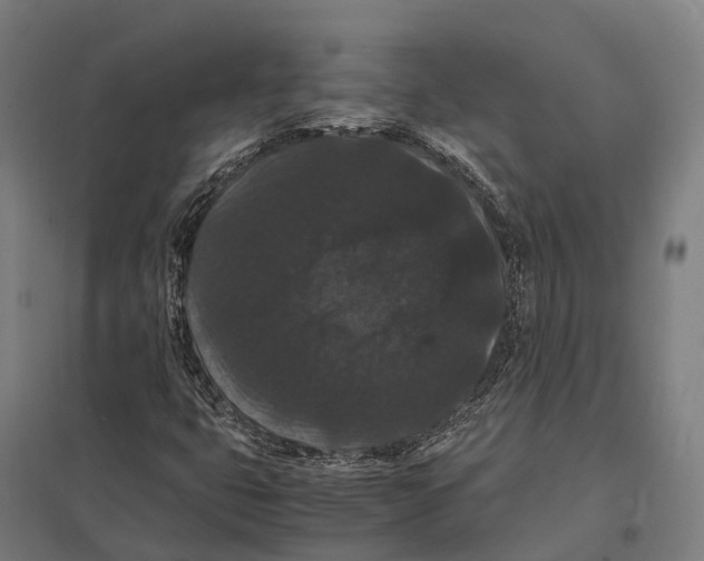 X0000097621399200803281026