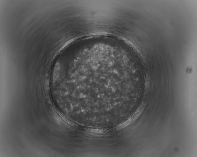 X0000097621401200803281026