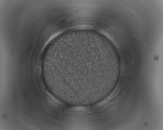 X0000097621402200803281026