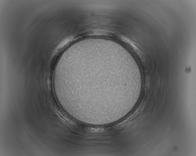 X0000097621403200803281026