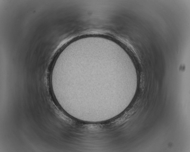X0000097621404200803281026