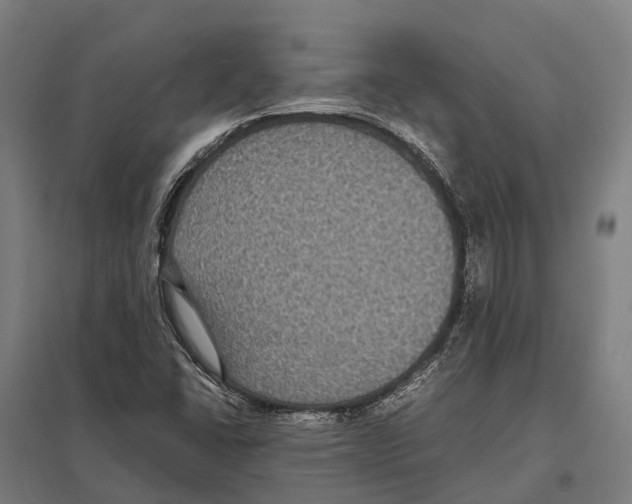 X0000097621406200803281026