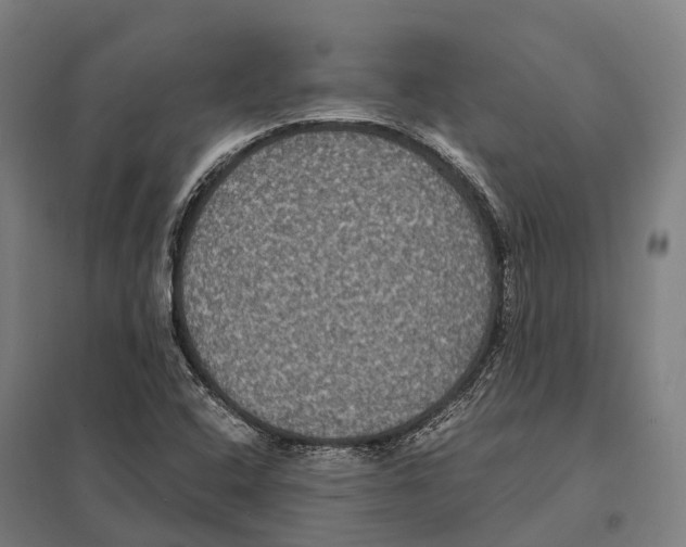X0000097621408200803281026
