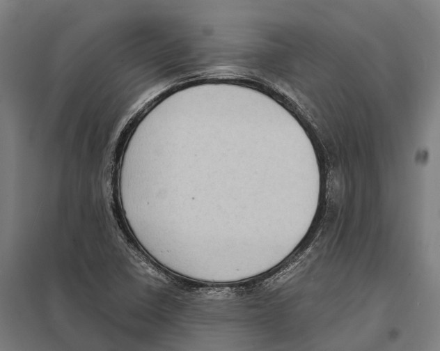 X0000097621410200803281026