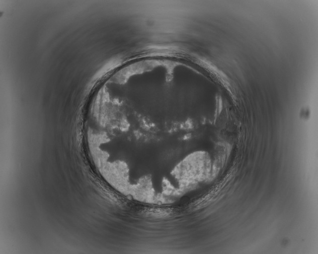 X0000097621411200803281026