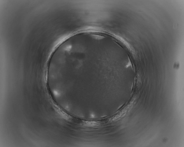 X0000097621413200803281026