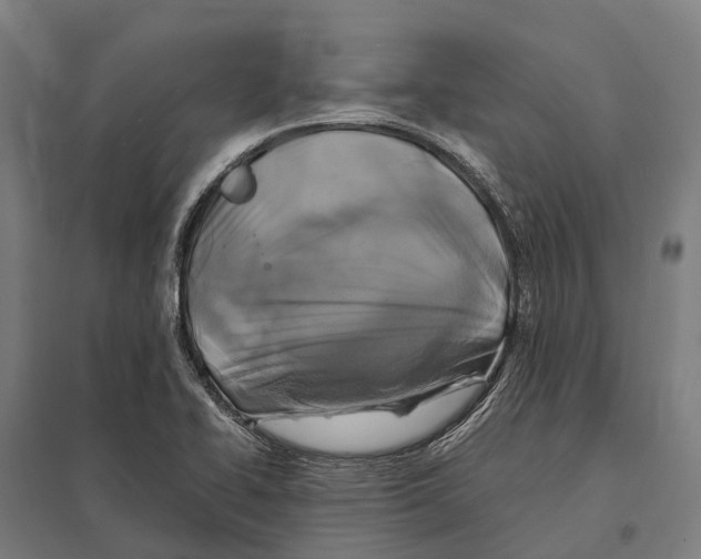 X0000097621414200803281026