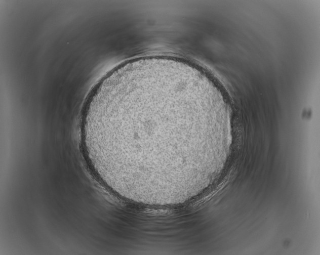 X0000097621415200803281026