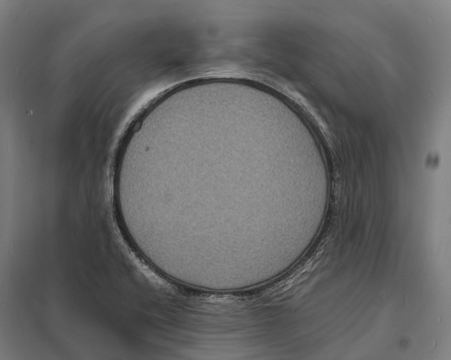 X0000097621416200803281026