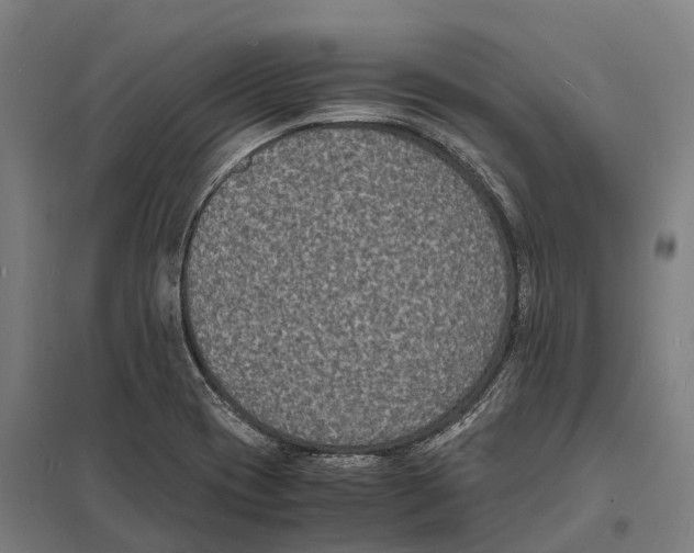 X0000097621417200803281026