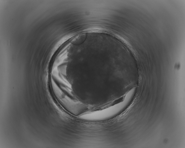 X0000097621418200803281026