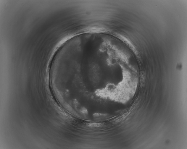 X0000097621419200803281026
