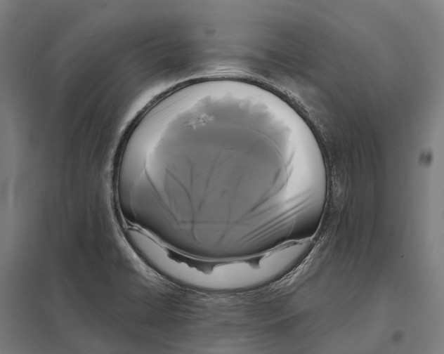 X0000097621422200803281026