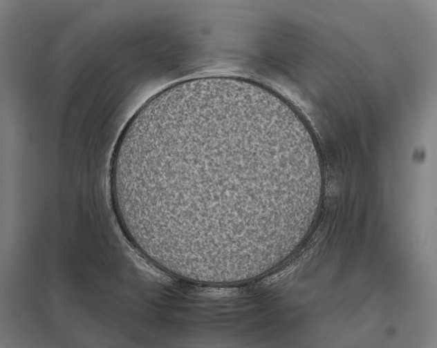 X0000097621423200803281026