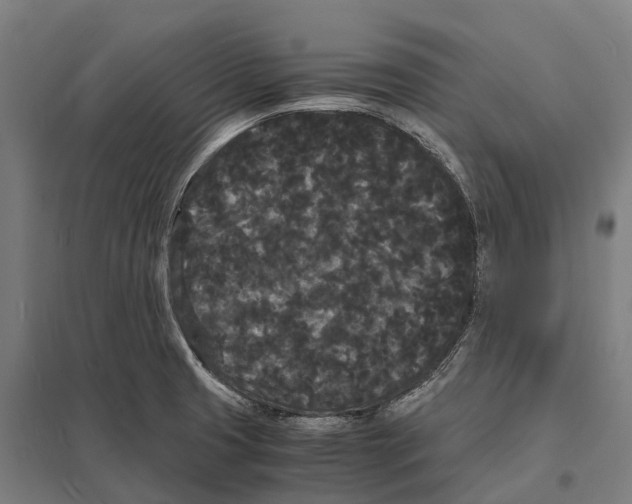 X0000097621425200803281026