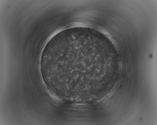 X0000097621427200803281026