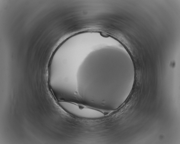 X0000097621428200803281026