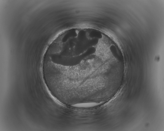X0000097621429200803281026